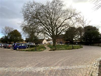 Picture 9